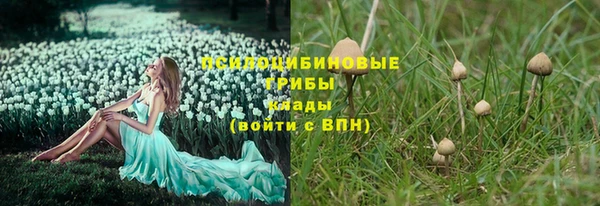 а пвп мука Осинники