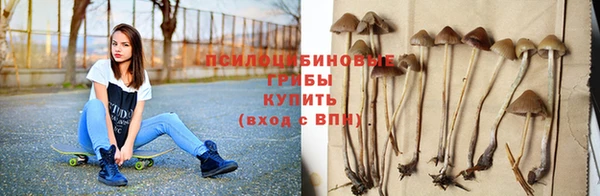 а пвп мука Осинники