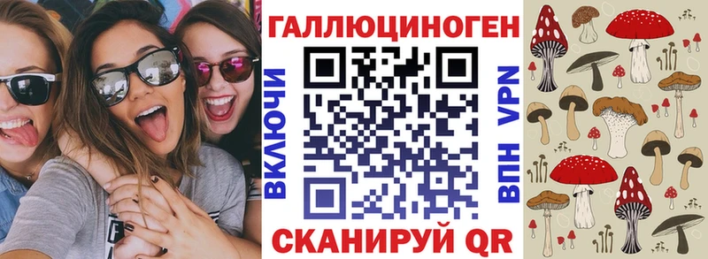 Псилоцибиновые грибы Psilocybine cubensis Тула