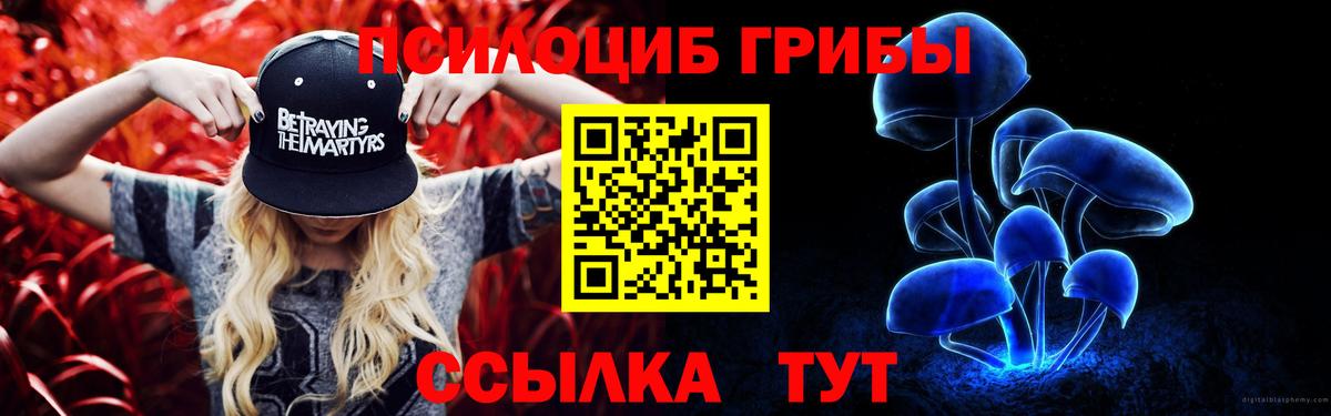 где найти   Галлюциногенные грибы Cubensis  Вход с VPN  Тула 